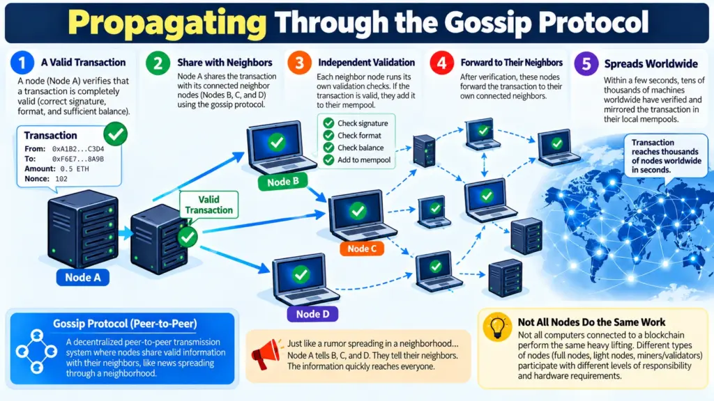 Propagating Through the Gossip Protocol